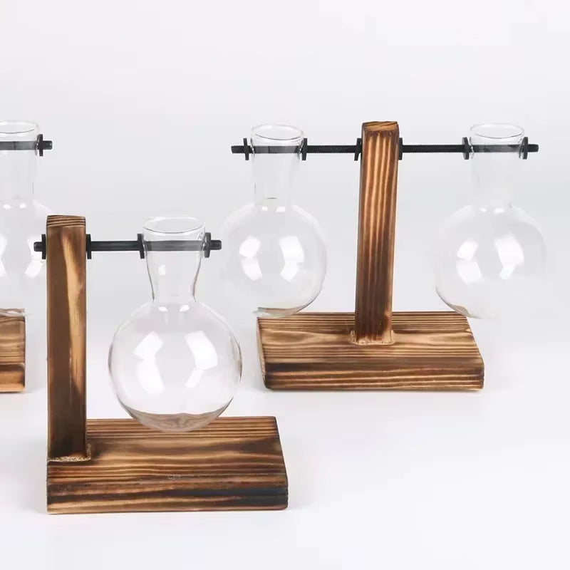 Hydroponic Plant Terrarium Vasevase Decoration Home Glass Bottle Hydroponic Desktop Decoration Office Green Plant Small Potted